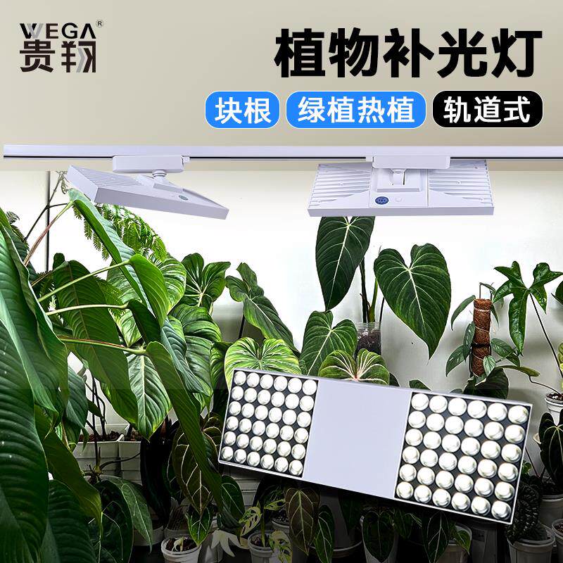 贵翔40W植物生长灯LED轨道射灯全光谱热植龙舌兰绿植景观墙补光灯