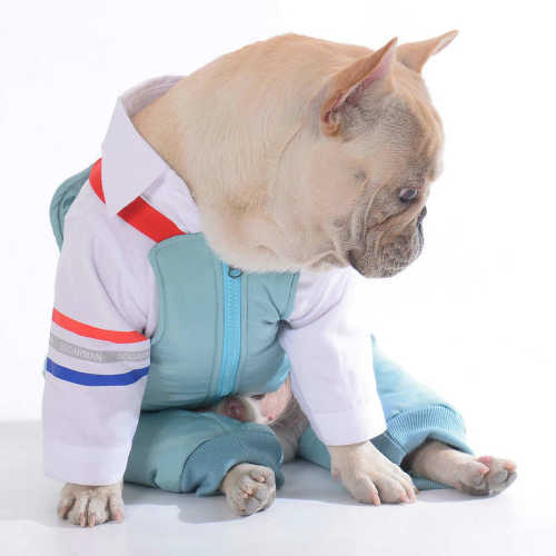 迪秋冬棉裤狗狗批发背带小狗背带裤宠物宠物服装泰衣服新款