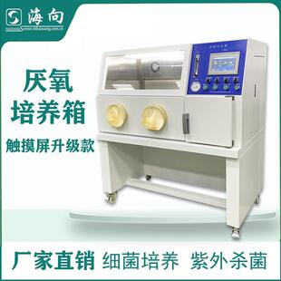 触摸屏版厌氧培养箱厂家供应厌氧菌培养YQX-11A自动型厂家