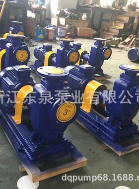 ZW自吸式无堵塞排污泵自吸污水泵不锈钢自吸排污泵管道抽水泵