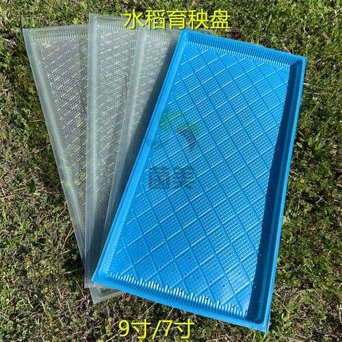 新款水稻育秧盘种子育苗盘7寸9寸插秧机平盘pet白色机插软盘