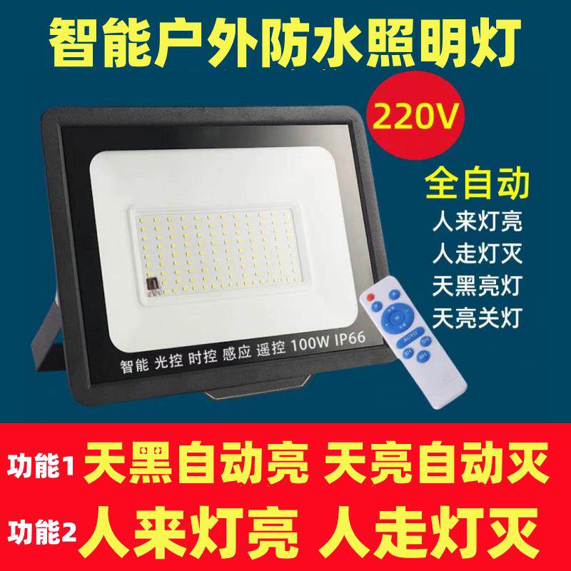 led光控户外灯插电式220v夜间自动人体感应灯工厂晚上自动亮射灯