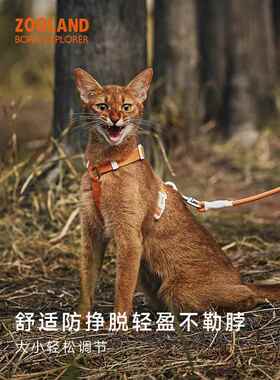 Zooland猫牵引绳，防止断裂时走宠物和小猫，可调的i型胸和背部绳