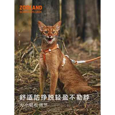 Zooland猫牵引绳，防止断裂时走宠物和小猫，可调的i型胸和背部绳