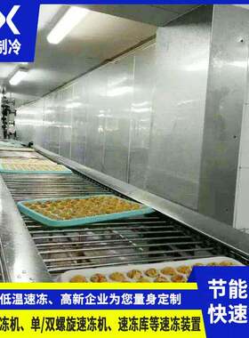 网带式速冻机100KG/h小型速冻机月饼包子饺子汤圆低温急冻设备