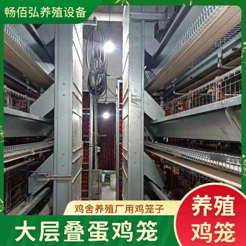 大层叠蛋鸡笼全自动蛋鸡养鸡设备养鸡场全自动清粪喂料饲养鸡笼