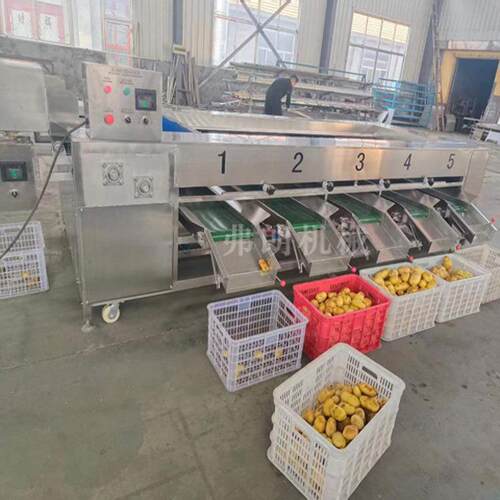 不锈钢滚杠分级机胡萝卜分级机农产品大小筛选设备红薯分级机