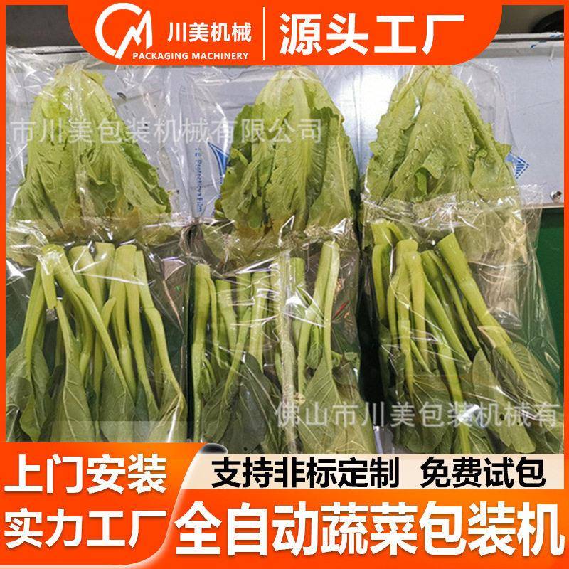 全自动蔬菜包装机生菜娃娃菜套袋套袋机生鲜果蔬菜心枕式包装机