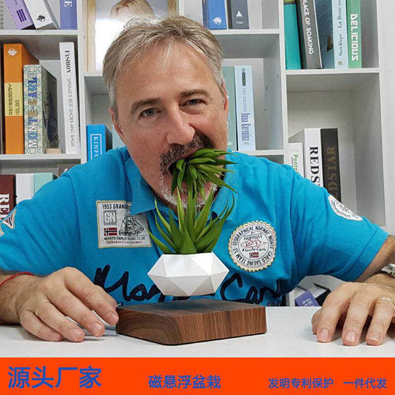 悬浮创意花盆磁悬浮盆栽空中植物悬空客厅公司摆件家居