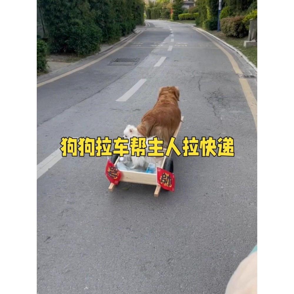 网红狗拉车拉车神器外出取快递买菜宠物拉车遛狗车户外宠物拉货车