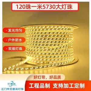 led灯带高压双排超亮户外防水家装照明工程220v发光氛围软灯条