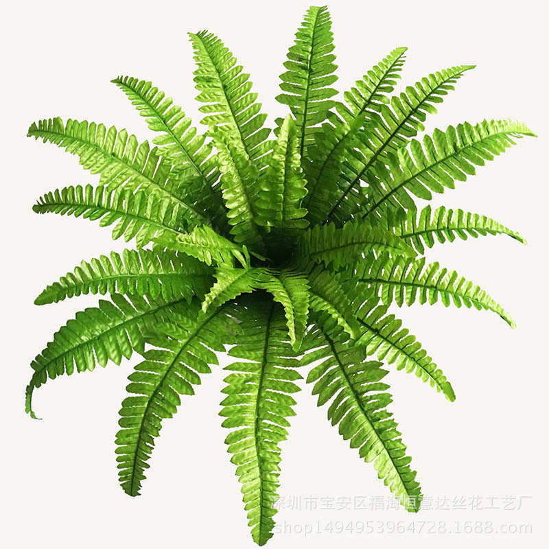 24头大波斯草绿色仿真花波斯叶把束叶子仿真植物肾蕨婚庆用品