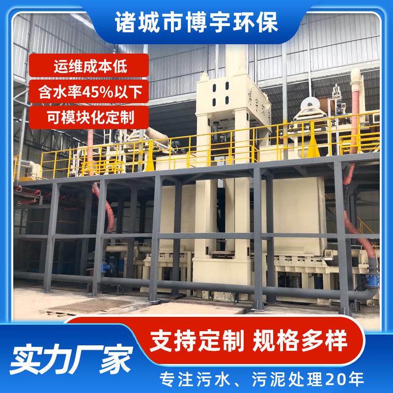 博宇市政污泥脱水压滤机 污水处理厂污泥超高压带式压榨脱水机