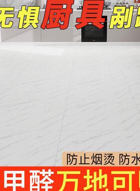 地板革用地板贴水泥厚地地直接铺自己家粘加塑胶料RAI地板垫胶垫