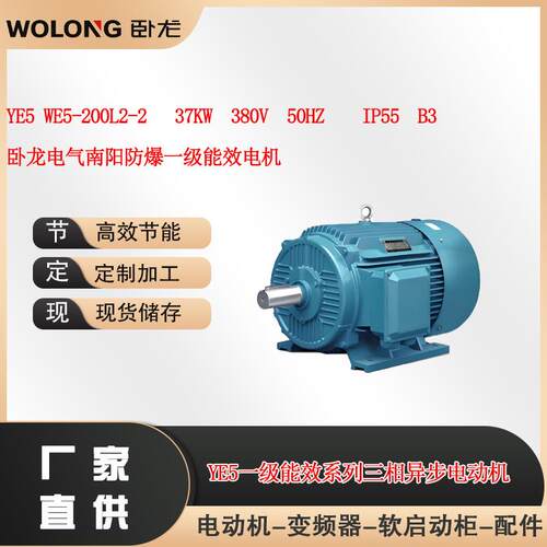 YE5WE5-200L2-237W380V50HZIP55B3