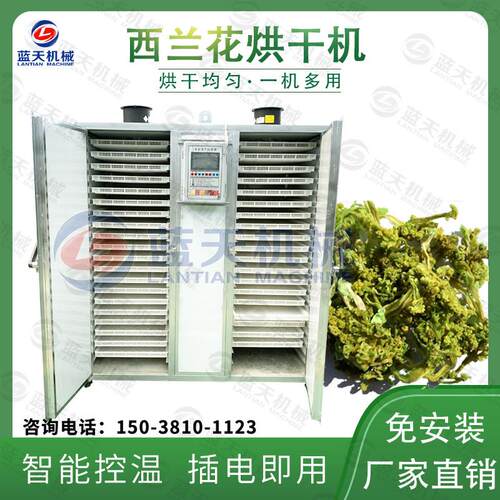 西兰花烘干机全自动绿花菜木立花椰菜干燥机青花菜脱水烘干设备