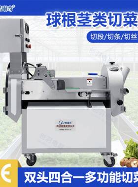 乐优学校食堂商用切菜机不锈钢食品级蔬菜切丝机双头切菜机