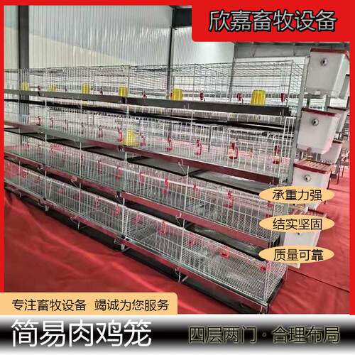 立式三层四层两门冷镀锌后热镀简易肉鸡笼鸡舍养殖场配套齐全坚固
