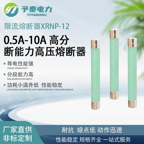 10KV高压限流熔断器厂家XRNP-12/10A熔丝保护防短路故障熔夹