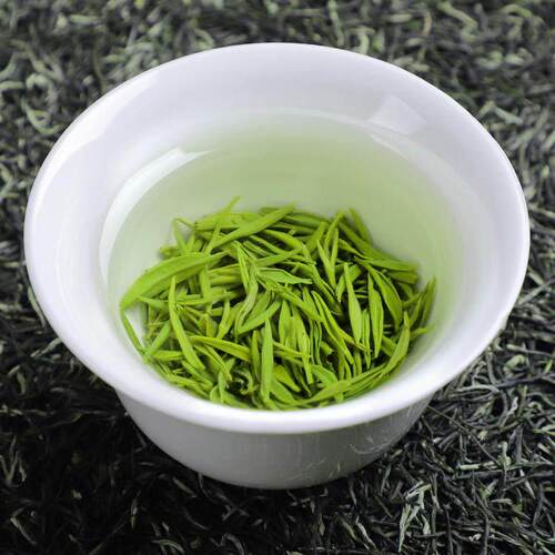 5罐装2025新茶叶毛尖绿茶浓香型日照充足云雾散装罐装500g