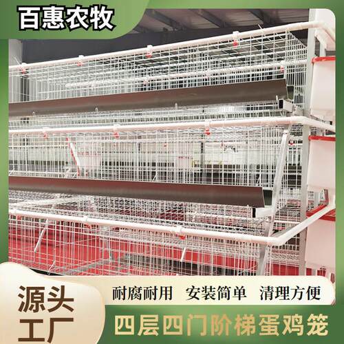 养殖场用层叠式四层四门蛋鸡笼设备镀锌多层阶梯式笼养鸡设备厂