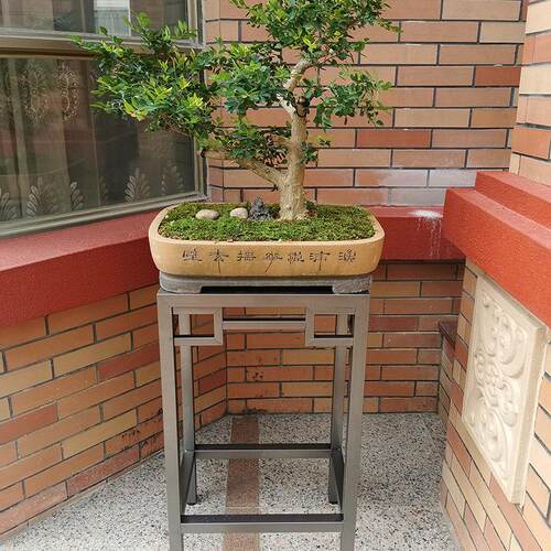 不锈钢花架新中式盆景架底座室外304放石头盆栽架子轻奢户外花架