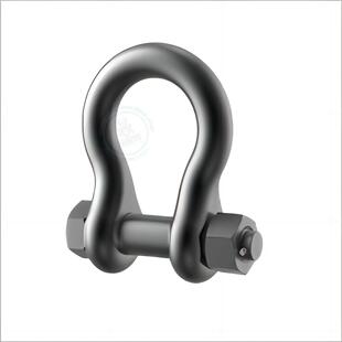 Carr Eye 316S Lifting Thread 英制美制吊环 Lane