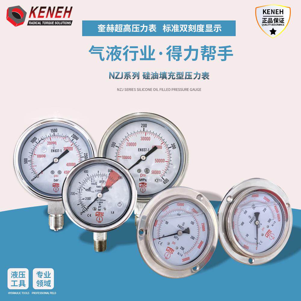 防震不锈钢充油压力表水压液压油压气压精密轴向轴向压力表