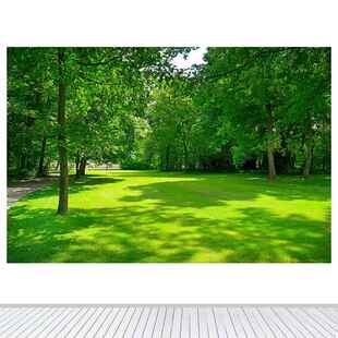 森林公园林间空地草地客厅装饰画自然美风景卧室餐厅墙贴壁画自粘