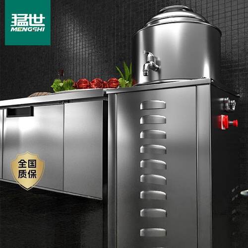 肉丸打浆机全自动商用成型猪肉牛肉鱼丸肉泥电动绞碎打肉浆机
