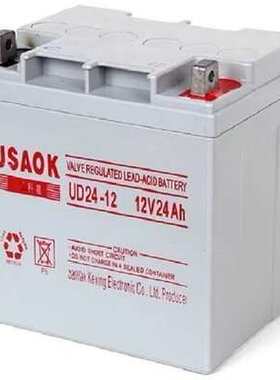 USAOK科星蓄电池UD12V7A17A24A38A65A100A120A150A200AH直流屏UPS