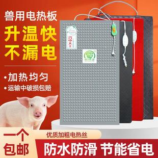 仔猪电热板不锈钢兽用小猪加热板母猪产床保温箱猪用碳纤维保温板