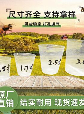透明育苗杯塑料兰花花盆多肉家庭营养白色透气打孔种植美植袋