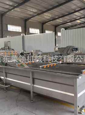 续式循粽清洗机 柠檬连高压喷淋叶式气泡清洗机 环海RQK带气泡洗