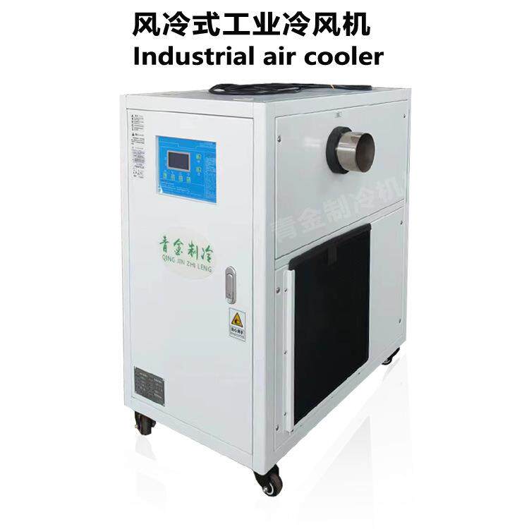 恒温冷风机精密仪器空间温度调节机全新风制冷制造厂家
