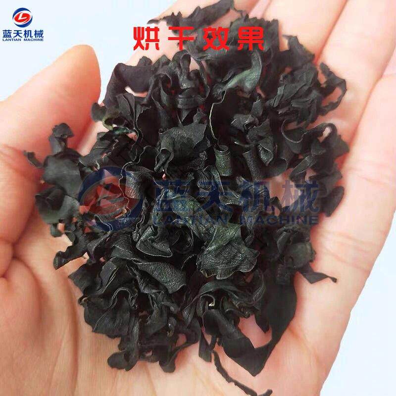 大连裙带菜烘干机 山东干裙带菜海芥菜烘干箱 智能海产品烘干设备