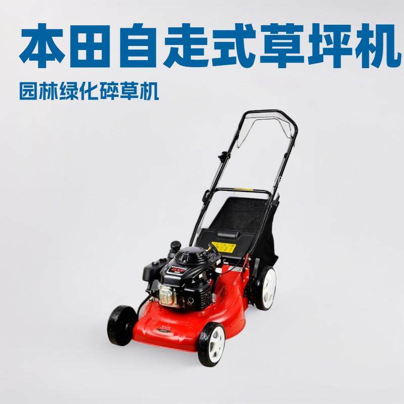 市政园林自走式草坪机大马力四冲程汽油手推式割草机校园除草机