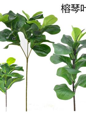 北欧风格仿真植物琴叶琴榕叶家居软装盆栽高枝落地绿植塑料花假花