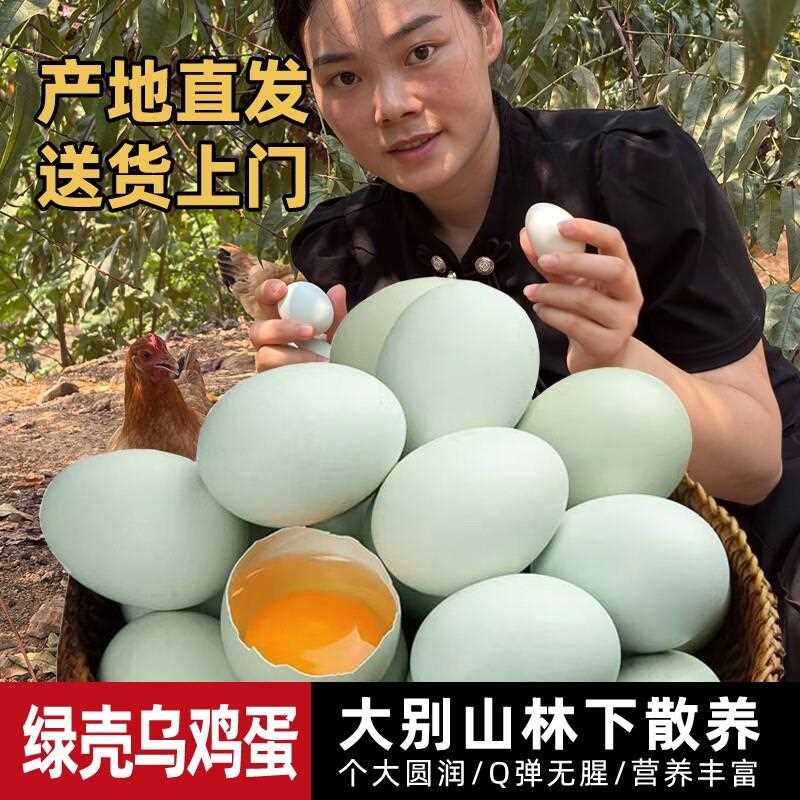 绿壳散养土鸡蛋大别山农家土鸡优质乌鸡蛋高营养健康新鲜现捡现发