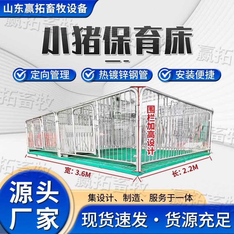 现货小猪保育床猪仔热镀锌挡板全复合板加厚保育床猪产床养殖设备