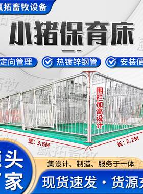 现货小猪保育床猪仔热镀锌挡板全复合板加厚保育床猪产床养殖设备