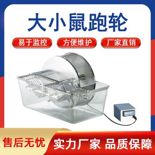 大鼠跑轮实验室电动两用自主跑轮全封闭可计跑动轮周数小鼠跑轮