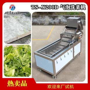 全自动高压喷淋果蔬清洗机 气泡冲浪清洗 2.2米洗菜机 腾昇机械