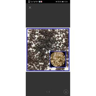 棕刚玉一级巴马固炉倾倒炉F4F6#FF10#8F12F1定4F16克1500目金刚砂