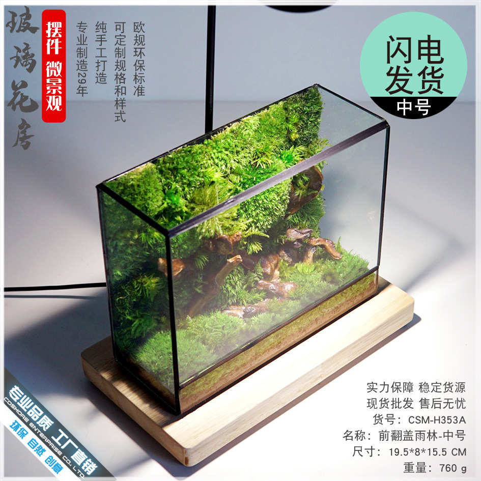 微造景花房装饰水草森林植景观苔藓几个瓶盆栽生态玻璃绿鱼缸摆件
