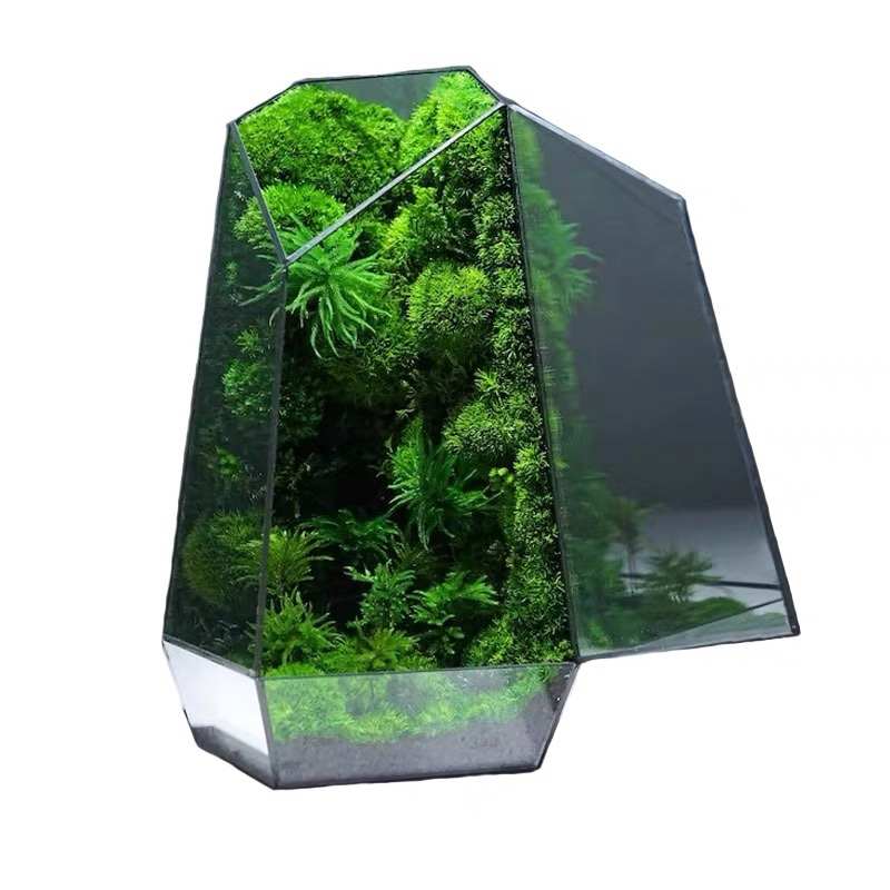立体花盆苔藓微景缸容器几何玻璃花房多肉办公室绿植透明闷养箱