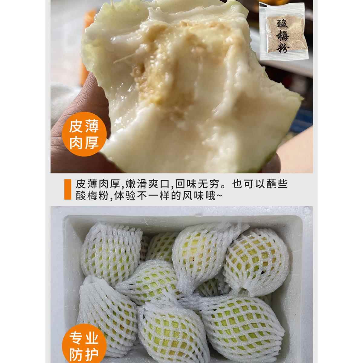 〖臻自在果园〗现货福建软糯白心芭乐5斤水果漳州番石榴精品大果