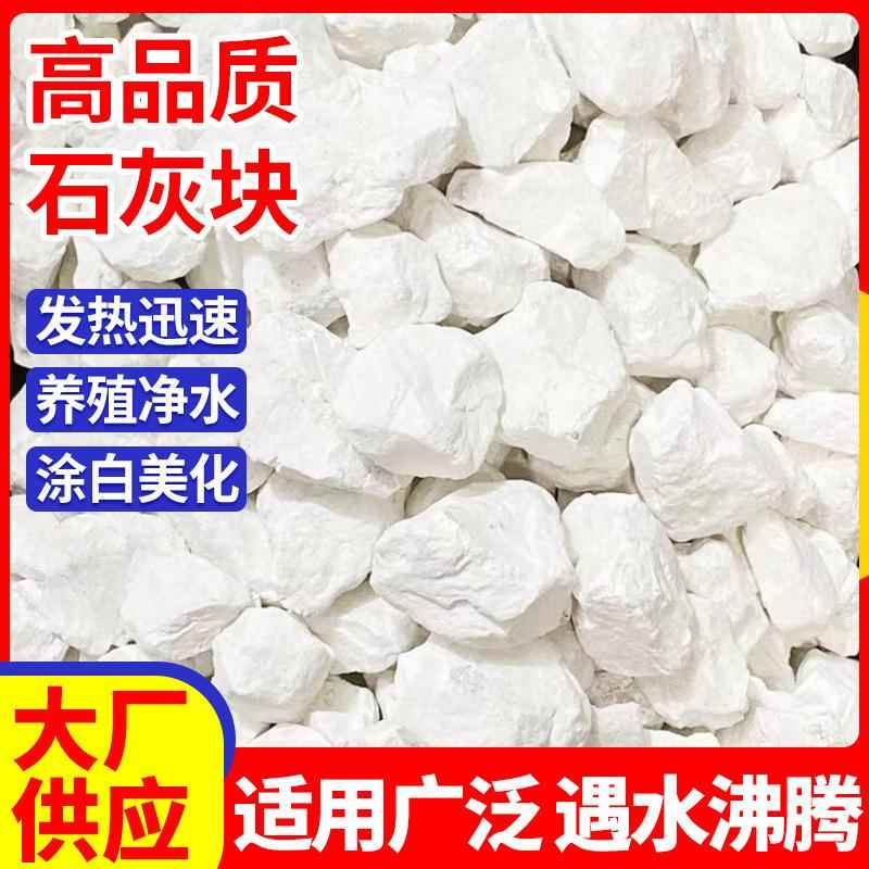生石灰块氧化钙水产养殖鱼塘消毒水质净化颗粒高钙干燥剂除湿用品