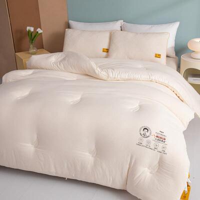 A类母婴春级李奇大豆纤维被j-j李官子母被二合一加厚冬被秋官被暖