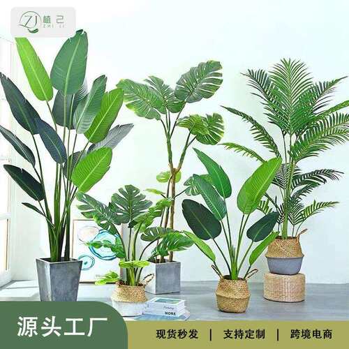 北欧真绿植造景龟背龙血树旅人蕉天堂鸟散尾葵假绿植盆景